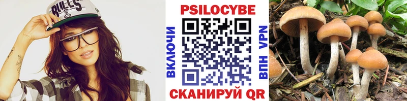 сколько стоит  Болхов  Псилоцибиновые грибы Magic Shrooms 