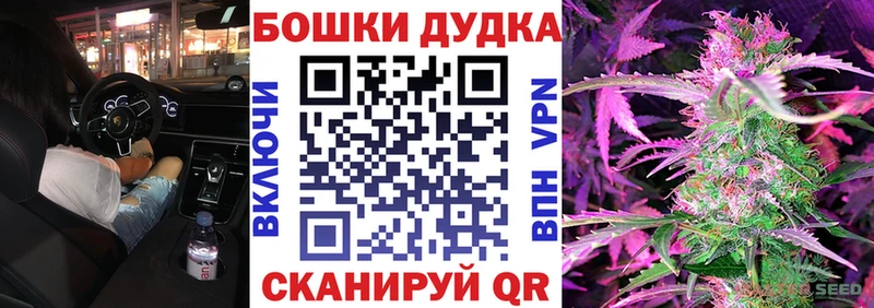 купить наркоту  блэк спрут как зайти  Каннабис сатива  Болхов 